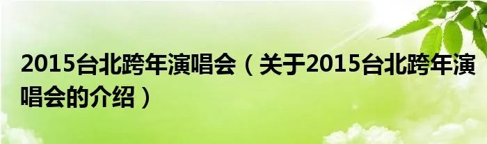 2015台北跨年演唱会（关于2015台北跨年演唱会的介绍）