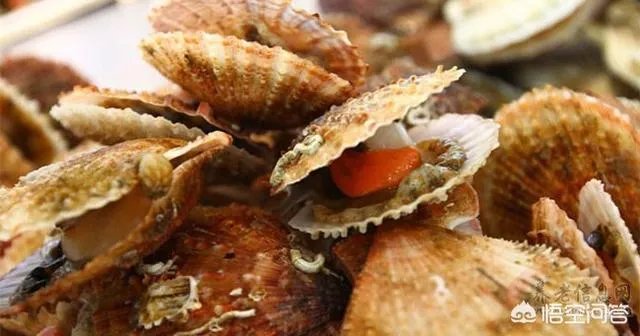 水产冻品的发展前景如何？