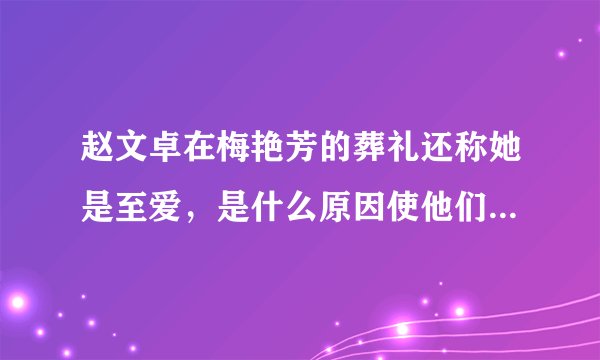 赵文卓在梅艳芳的葬礼还称她是至爱，是什么原因使他们最终没有走到一起？
