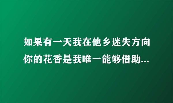 如果有一天我在他乡迷失方向你的花香是我唯一能够借助的翅膀~!~!!这首歌的名字叫什么????跪求找了3个月了