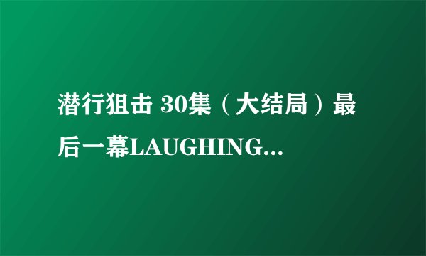 潜行狙击 30集（大结局）最后一幕LAUGHING SIR在监狱和谁对视。