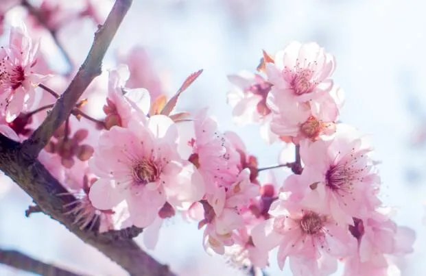 5月份去哪里旅游合适 五月旅游国内最佳地推荐