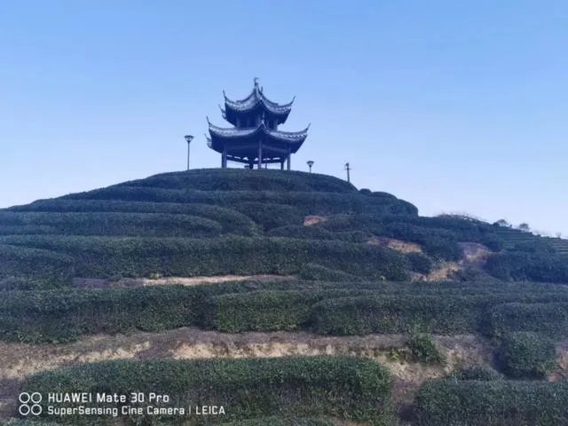 我是干旅游超市的，今年还能继续干么？