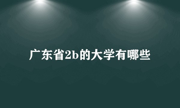 广东省2b的大学有哪些