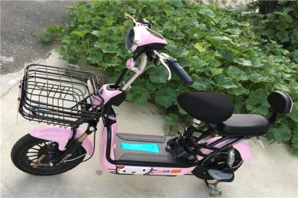 十大电动车排行榜推荐 新蕾上榜立马电动车相当优秀