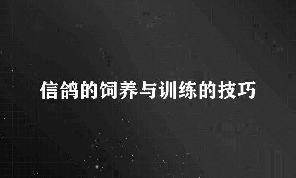 信鸽的饲养与训练的技巧