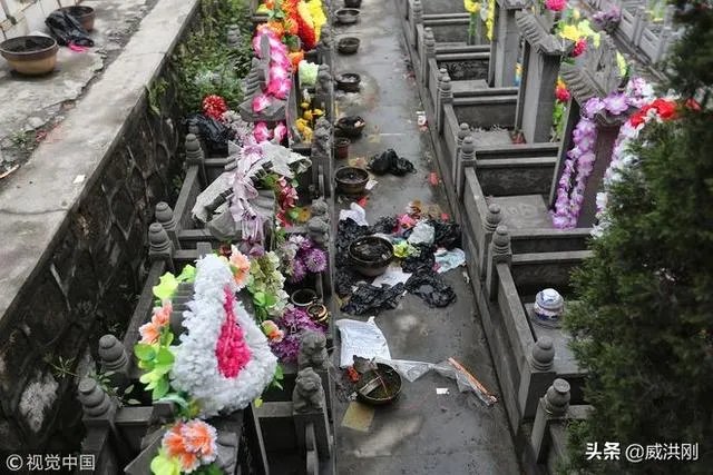 墓地太贵怎么解决？