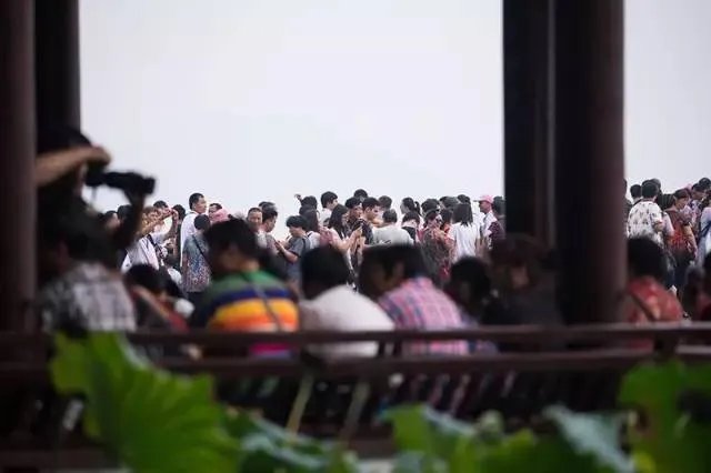 千万不要来杭州，我是认真的