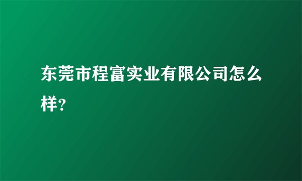 东莞市程富实业有限公司怎么样？