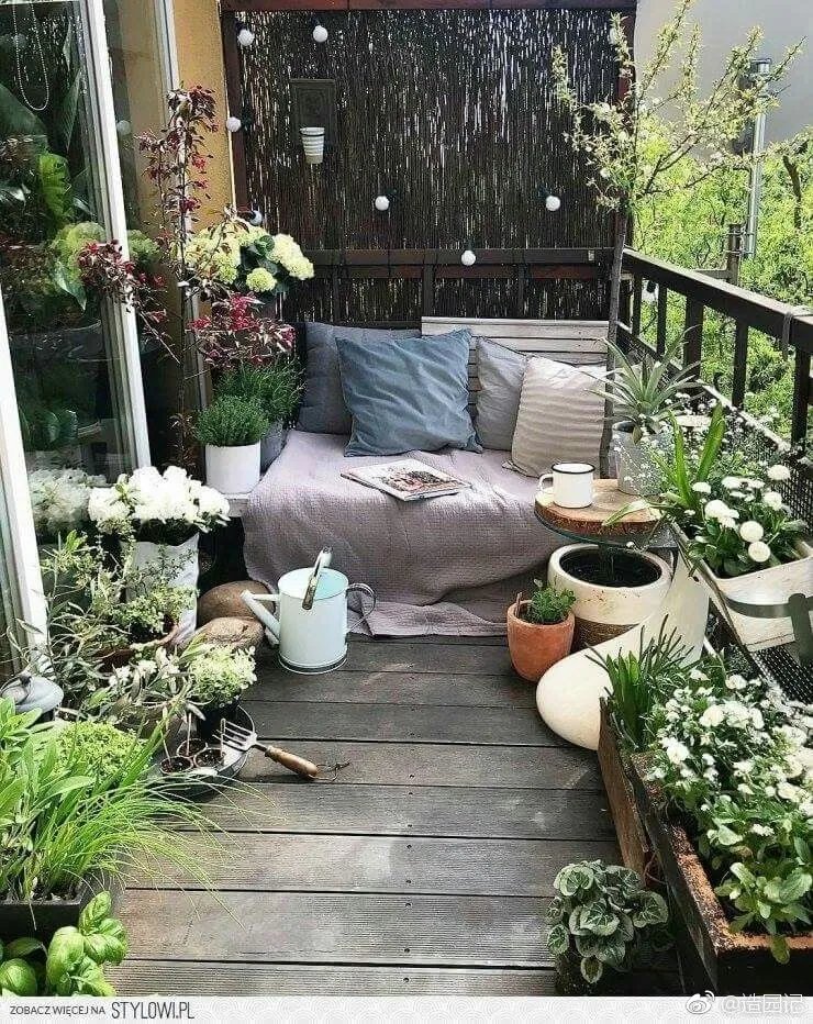 很多花友说「我缺的是花园啊」，其实园艺不是土豪专享啊！你有个...