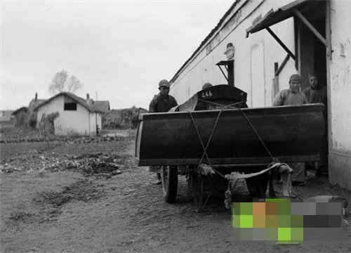 陕西挖出千年棺木 竟出现邪物虐杀村民（组图）