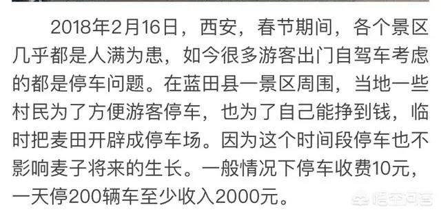西安村民春节改麦田为停车场,一天收入2000元,你怎么看?