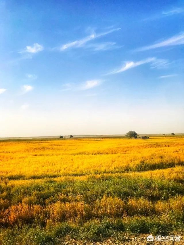 新疆塔克拉玛干沙漠能去旅游吗?