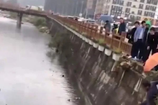 武汉女副区长倪红发生事故身亡，造成事故的原因是什么？