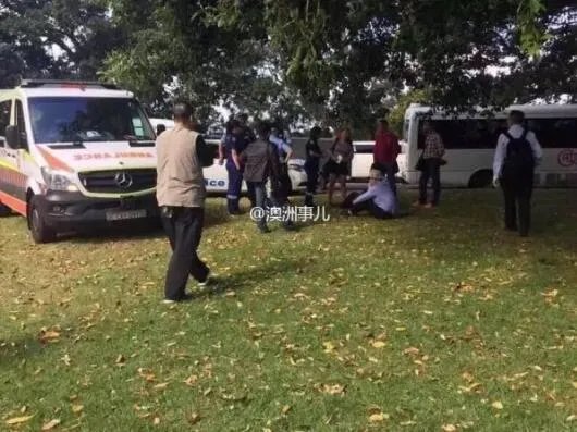 中国游客在澳随地便溺 装病拘捕传闻是否属实