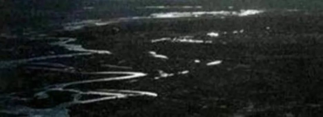 历史真实灵异事件：有图有真相图片胆小勿进