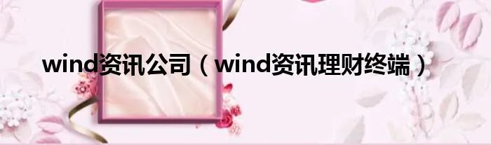 wind资讯公司（wind资讯理财终端）