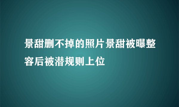 景甜删不掉的照片景甜被曝整容后被潜规则上位