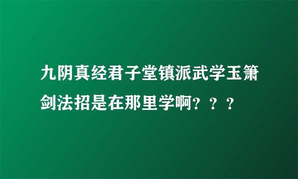 九阴真经君子堂镇派武学玉箫剑法招是在那里学啊？？？