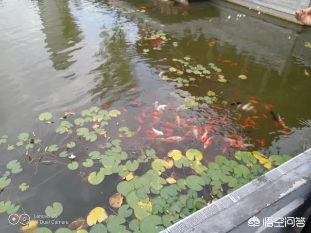 如何评价有人说罗永浩发布会总是迟到？