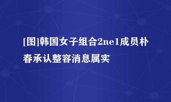 [图]韩国女子组合2ne1成员朴春承认整容消息属实