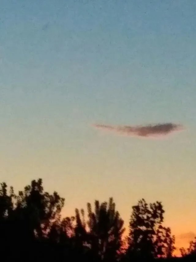 上句是：锦上添花无人记，接下句？