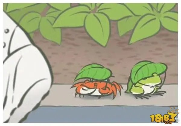 旅行青蛙图片明信片汇总 旅行青蛙相册大全