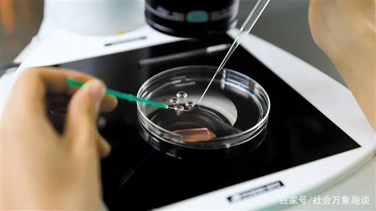 广东一女子在分娩的时候去世,丈夫欲取冷冻胚胎遭拒,你如何看待此事?