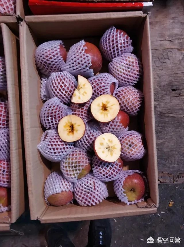 现在苹果价格的行情如何？