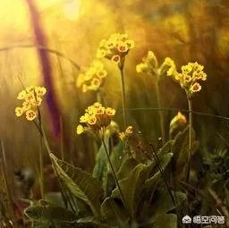 大学生骑车撞上违停法拉利，初步估计要赔20万，对此你怎么看？