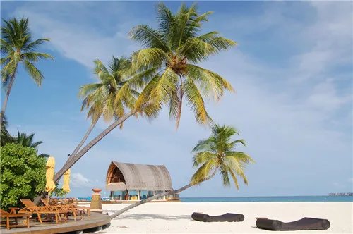 马尔代夫蜜月岛报价要多少钱 马尔代夫景点有哪些