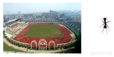 脉冲星的密度高达10亿吨/立方厘米，这是真的吗？