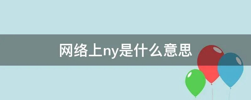 网络上ny是什么意思