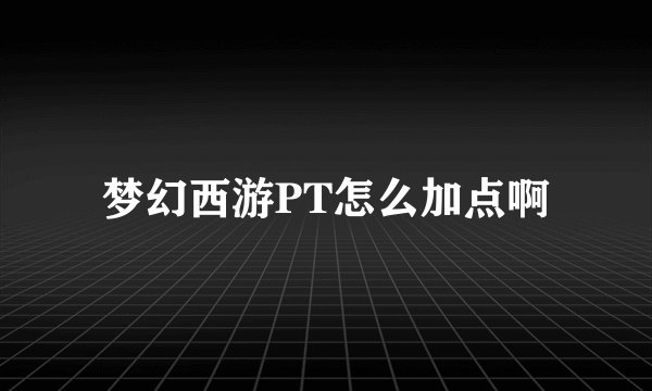 梦幻西游PT怎么加点啊
