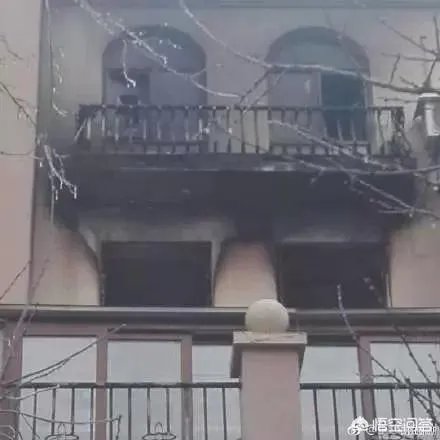 如何评价郑爽爸爸见义勇为火场救人的行为?