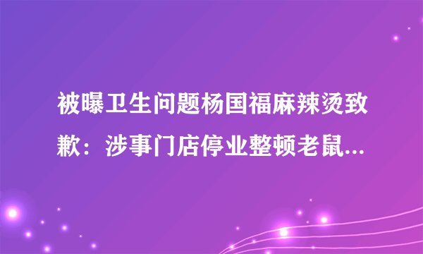 被曝卫生问题杨国福麻辣烫致歉：涉事门店停业整顿老鼠屎遍地等