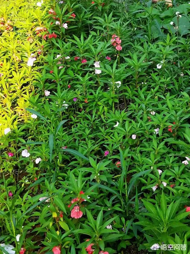 “不结婚的恋爱都是耍流氓”如何理解这句话？