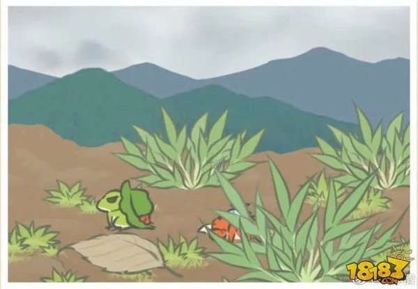 旅行青蛙图片明信片汇总 旅行青蛙相册大全