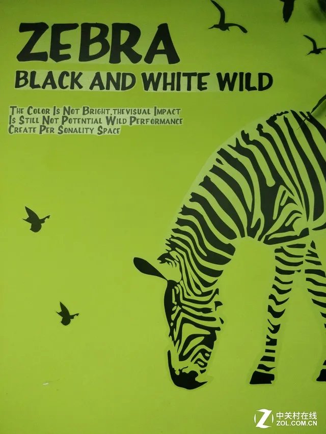 无论远近成像始终清晰 一加5双摄解读