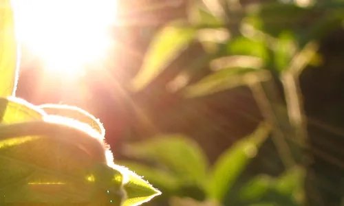 五月你好的唯美心情说说大全