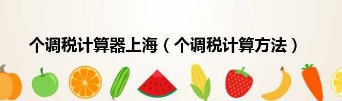 个调税计算器上海（个调税计算方法）