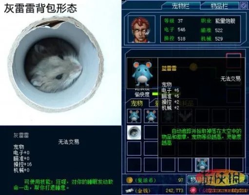 玩家制造：《雷电online》新宠物灰雷雷