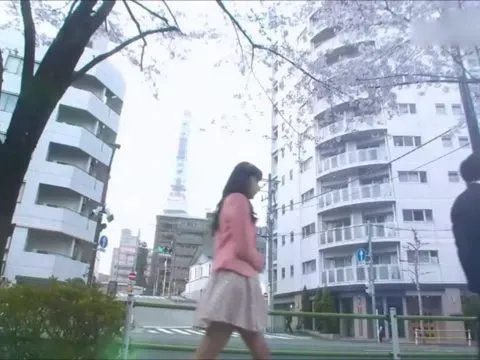 morning的中英文歌词对照