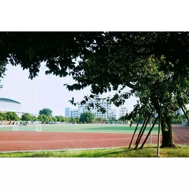 南充高中到底有多好？