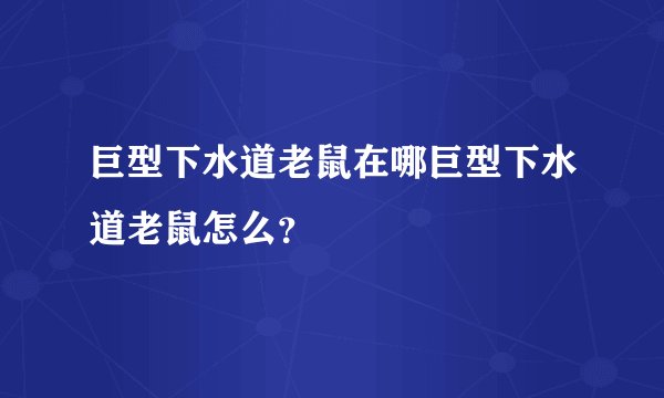 巨型下水道老鼠在哪巨型下水道老鼠怎么？