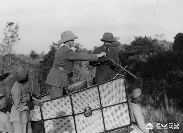 胜之不武是什么动物