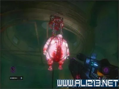 《耶利哥》图文流程攻略