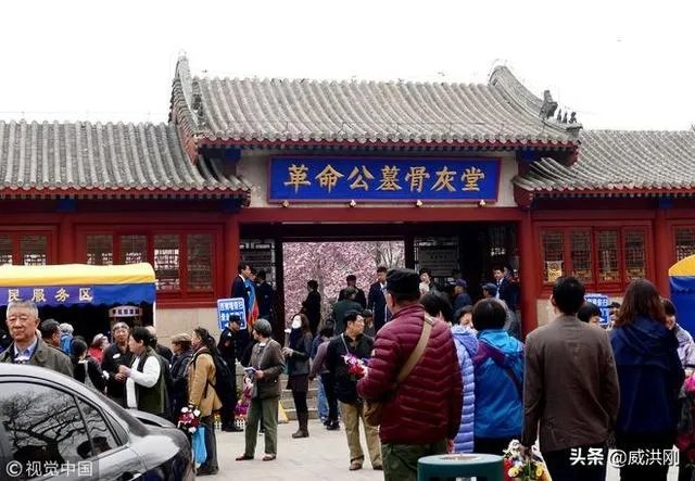 墓地太贵怎么解决？