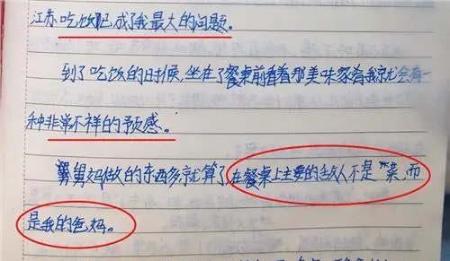 如何看待小学生记事本堪比摩斯密码？