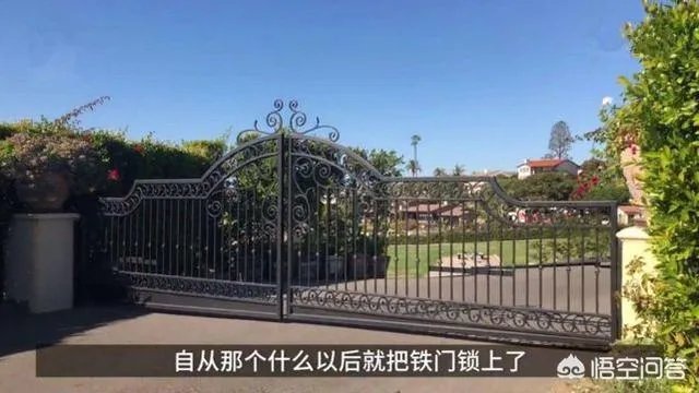 贾跃亭什么时候回国?回来后会受到法律制裁吗?